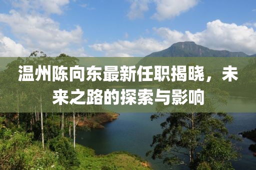 温州陈向东最新任职揭晓，未来之路的探索与影响