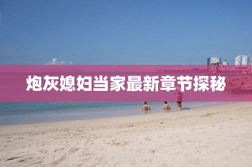 炮灰媳妇当家最新章节探秘