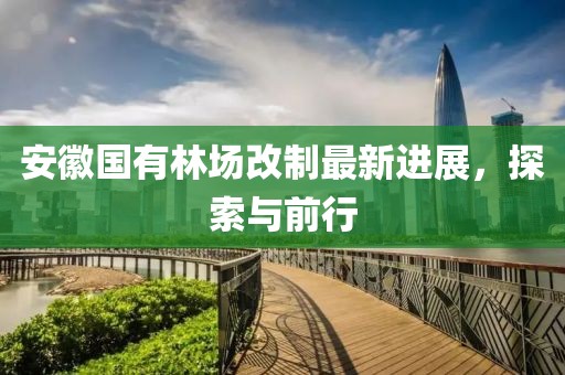 安徽国有林场改制最新进展，探索与前行