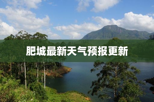 肥城最新天气预报更新