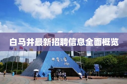 白马井最新招聘信息全面概览