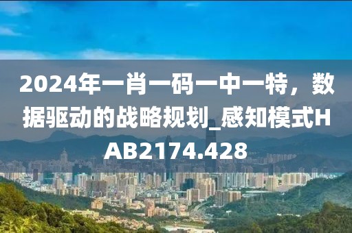 2024年一肖一码一中一特，数据驱动的战略规划_感知模式HAB2174.428