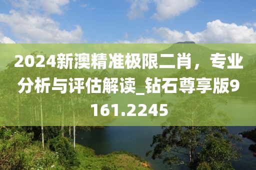 2024新澳精准极限二肖，专业分析与评估解读_钻石尊享版9161.2245