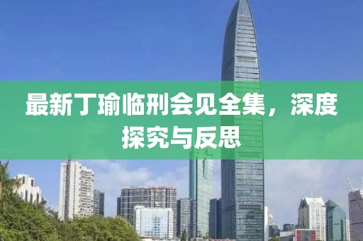 最新丁瑜临刑会见全集，深度探究与反思