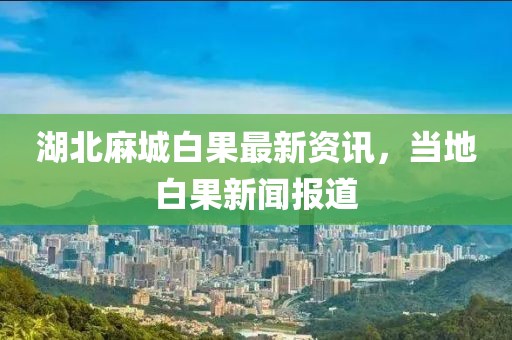 湖北麻城白果最新资讯，当地白果新闻报道