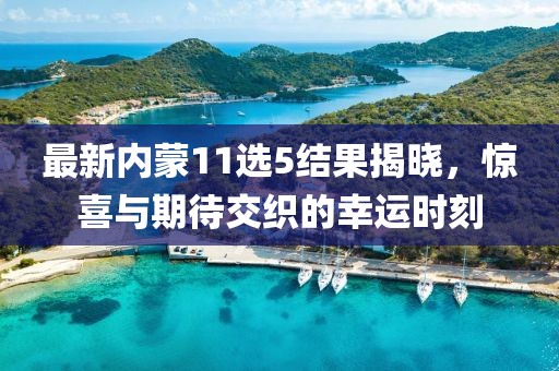 最新内蒙11选5结果揭晓，惊喜与期待交织的幸运时刻
