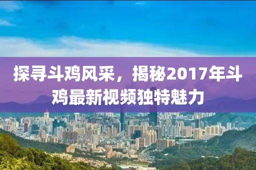 探寻斗鸡风采，揭秘2017年斗鸡最新视频独特魅力