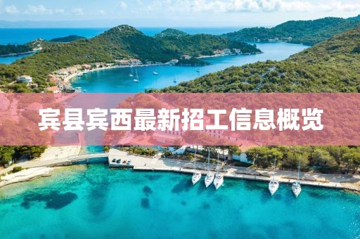 宾县宾西最新招工信息概览