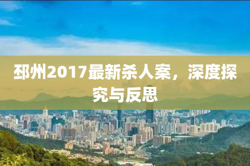 邳州2017最新杀人案，深度探究与反思