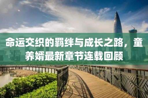 命运交织的羁绊与成长之路，童养婿最新章节连载回顾