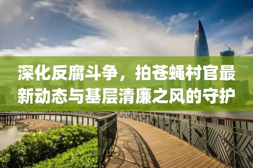 深化反腐斗争，拍苍蝇村官最新动态与基层清廉之风的守护
