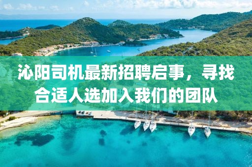 沁阳司机最新招聘启事，寻找合适人选加入我们的团队
