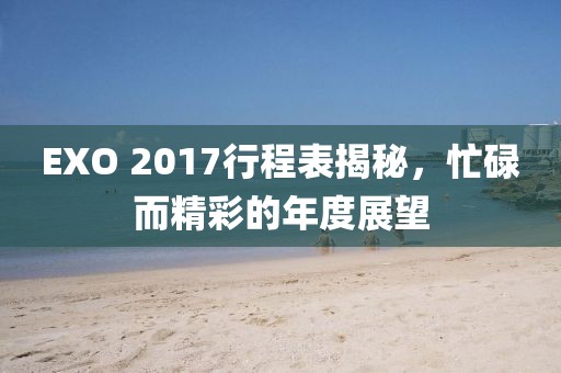 EXO 2017行程表揭秘，忙碌而精彩的年度展望