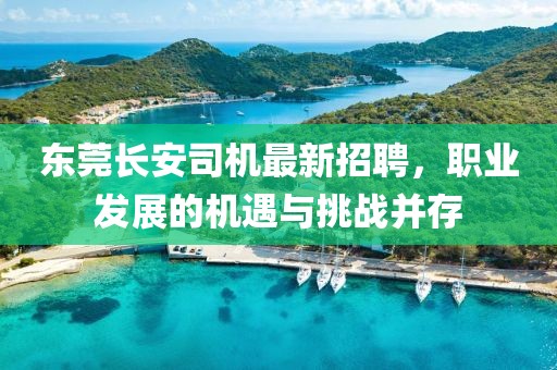 东莞长安司机最新招聘，职业发展的机遇与挑战并存