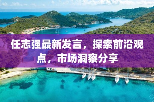 任志强最新发言，探索前沿观点，市场洞察分享