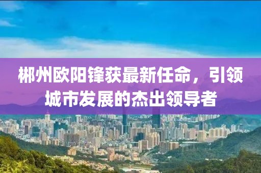 郴州欧阳锋获最新任命，引领城市发展的杰出领导者