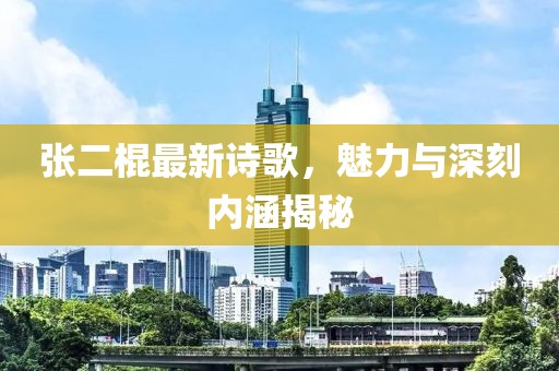 张二棍最新诗歌，魅力与深刻内涵揭秘