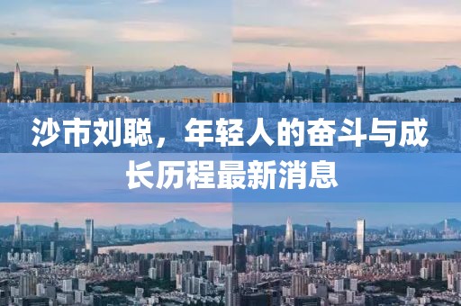沙市刘聪，年轻人的奋斗与成长历程最新消息