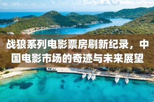 战狼系列电影票房刷新纪录，中国电影市场的奇迹与未来展望