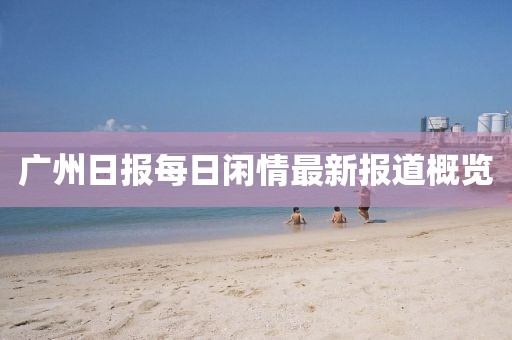 广州日报每日闲情最新报道概览