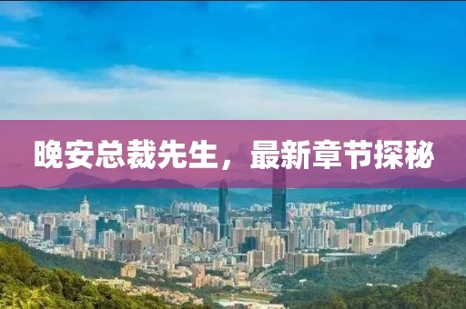 晚安总裁先生，最新章节探秘