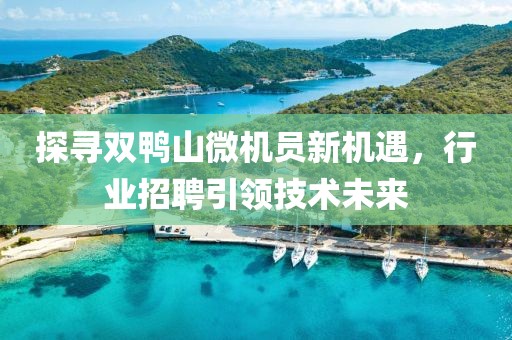 探寻双鸭山微机员新机遇，行业招聘引领技术未来