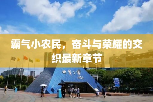 霸气小农民，奋斗与荣耀的交织最新章节