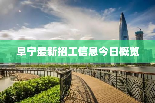 阜宁最新招工信息今日概览