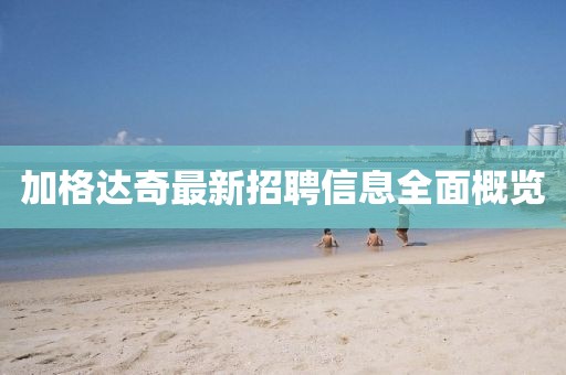 加格达奇最新招聘信息全面概览