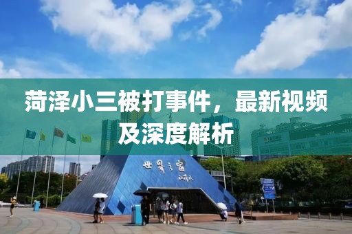 菏泽小三被打事件，最新视频及深度解析