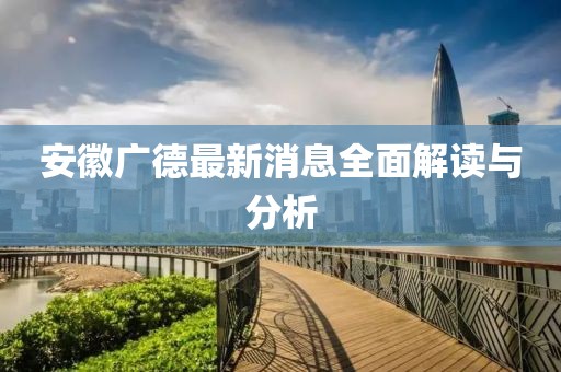 安徽广德最新消息全面解读与分析