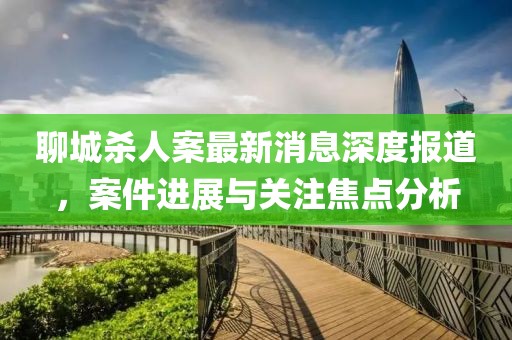 聊城杀人案最新消息深度报道，案件进展与关注焦点分析