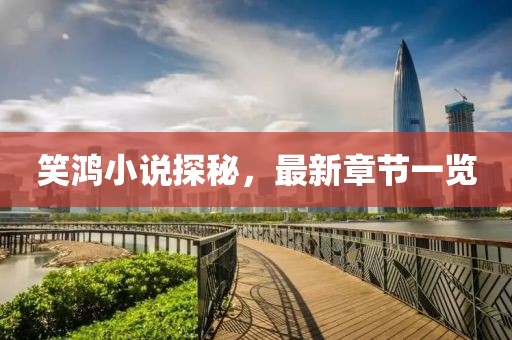 笑鸿小说探秘，最新章节一览