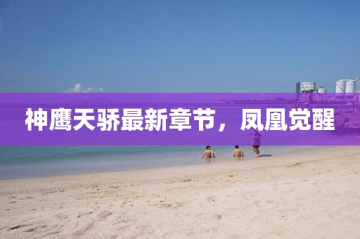 神鹰天骄最新章节，凤凰觉醒