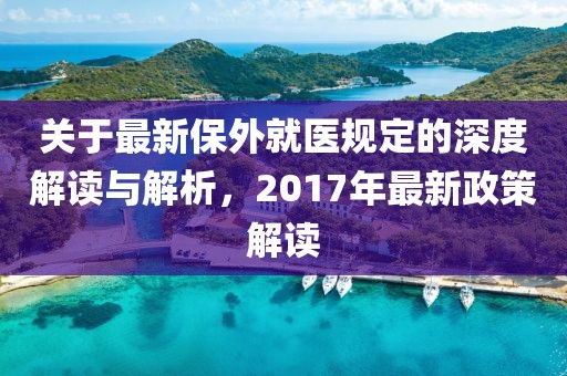 关于最新保外就医规定的深度解读与解析，2017年最新政策解读