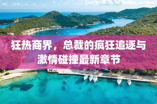 狂热商界，总裁的疯狂追逐与激情碰撞最新章节