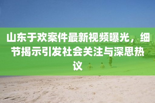 山东于欢案件最新视频曝光，细节揭示引发社会关注与深思热议