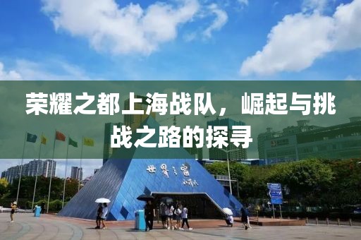 荣耀之都上海战队，崛起与挑战之路的探寻