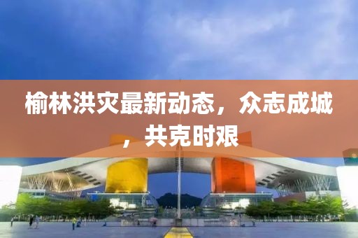 榆林洪灾最新动态，众志成城，共克时艰