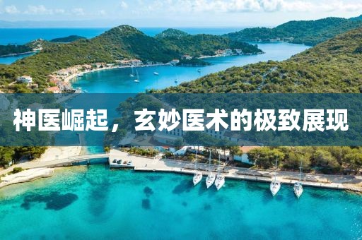 神医崛起，玄妙医术的极致展现