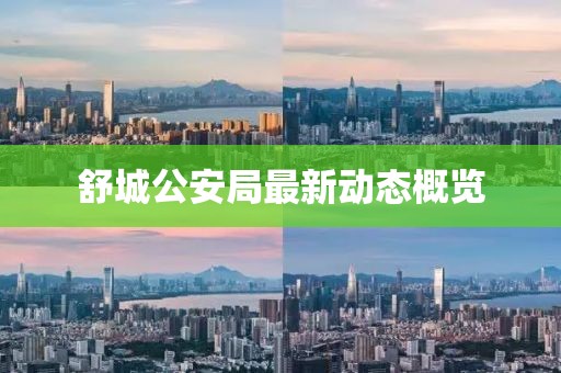 舒城公安局最新动态概览