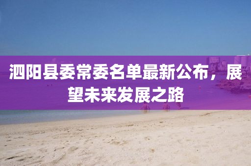 泗阳县委常委名单最新公布，展望未来发展之路