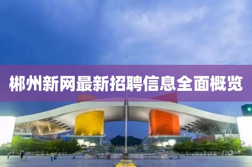 郴州新网最新招聘信息全面概览