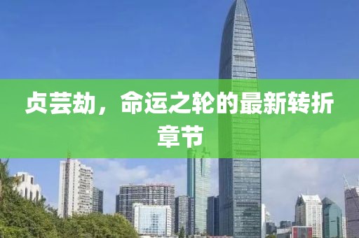 贞芸劫，命运之轮的最新转折章节