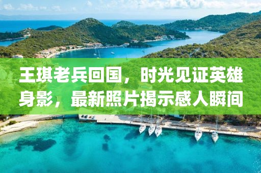 王琪老兵回国，时光见证英雄身影，最新照片揭示感人瞬间
