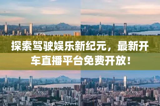 探索驾驶娱乐新纪元，最新开车直播平台免费开放！