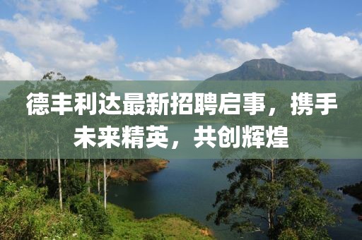 德丰利达最新招聘启事，携手未来精英，共创辉煌