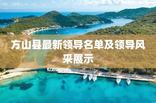 方山县最新领导名单及领导风采展示