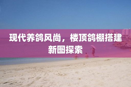现代养鸽风尚，楼顶鸽棚搭建新图探索