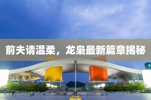 前夫请温柔，龙枭最新篇章揭秘